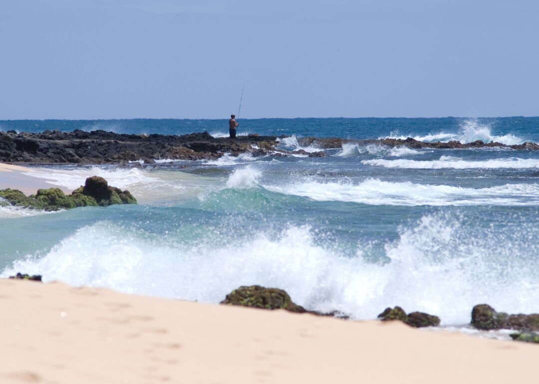 #51. Hawaii